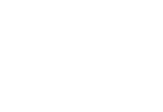 Baum Festival 2023